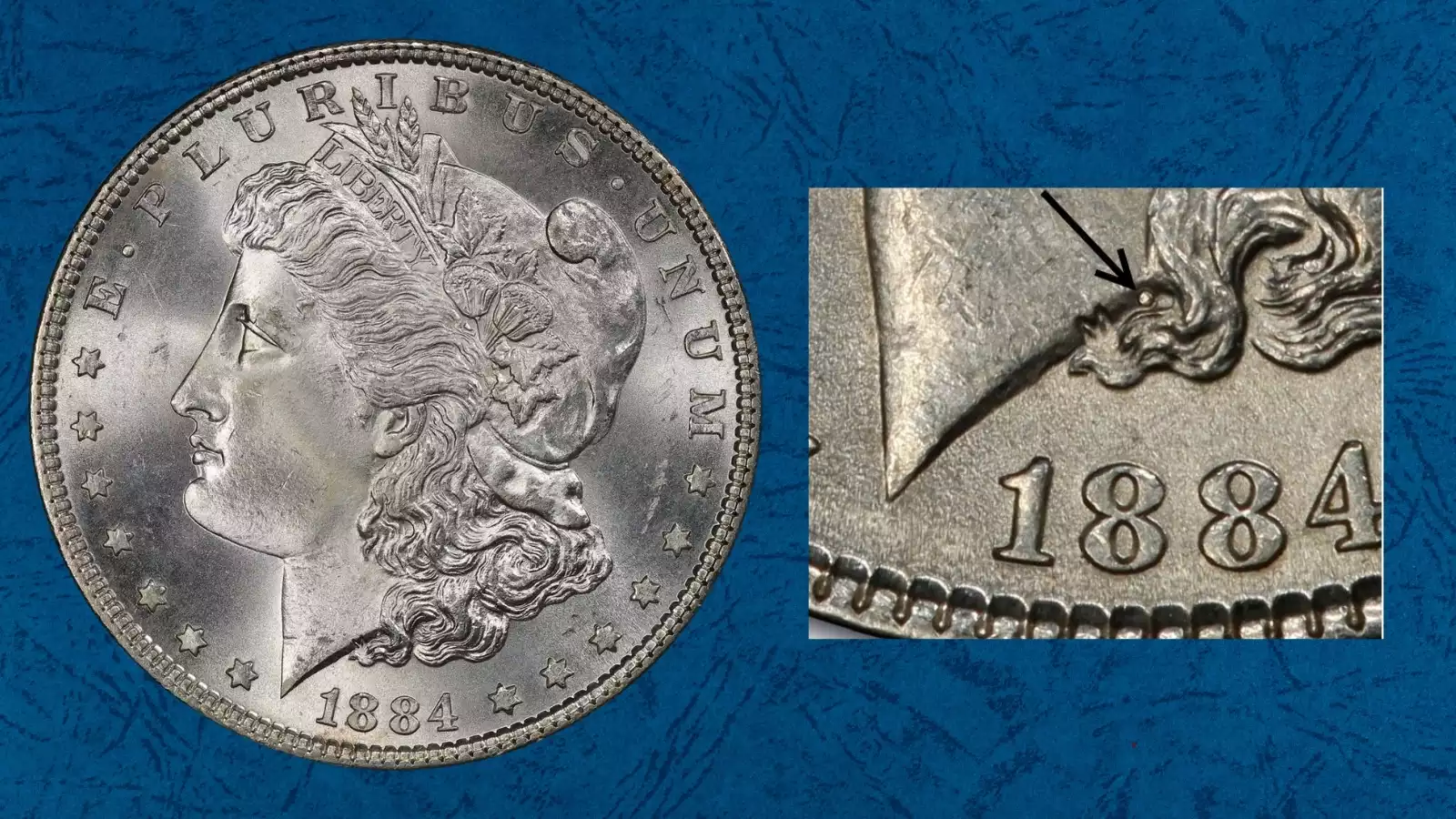 Close-up of the 1884 Philadelphia Morgan dollar reverse field showing the Large Dot VAM-3 die anomaly — a Top 100 Morgan dollar variety