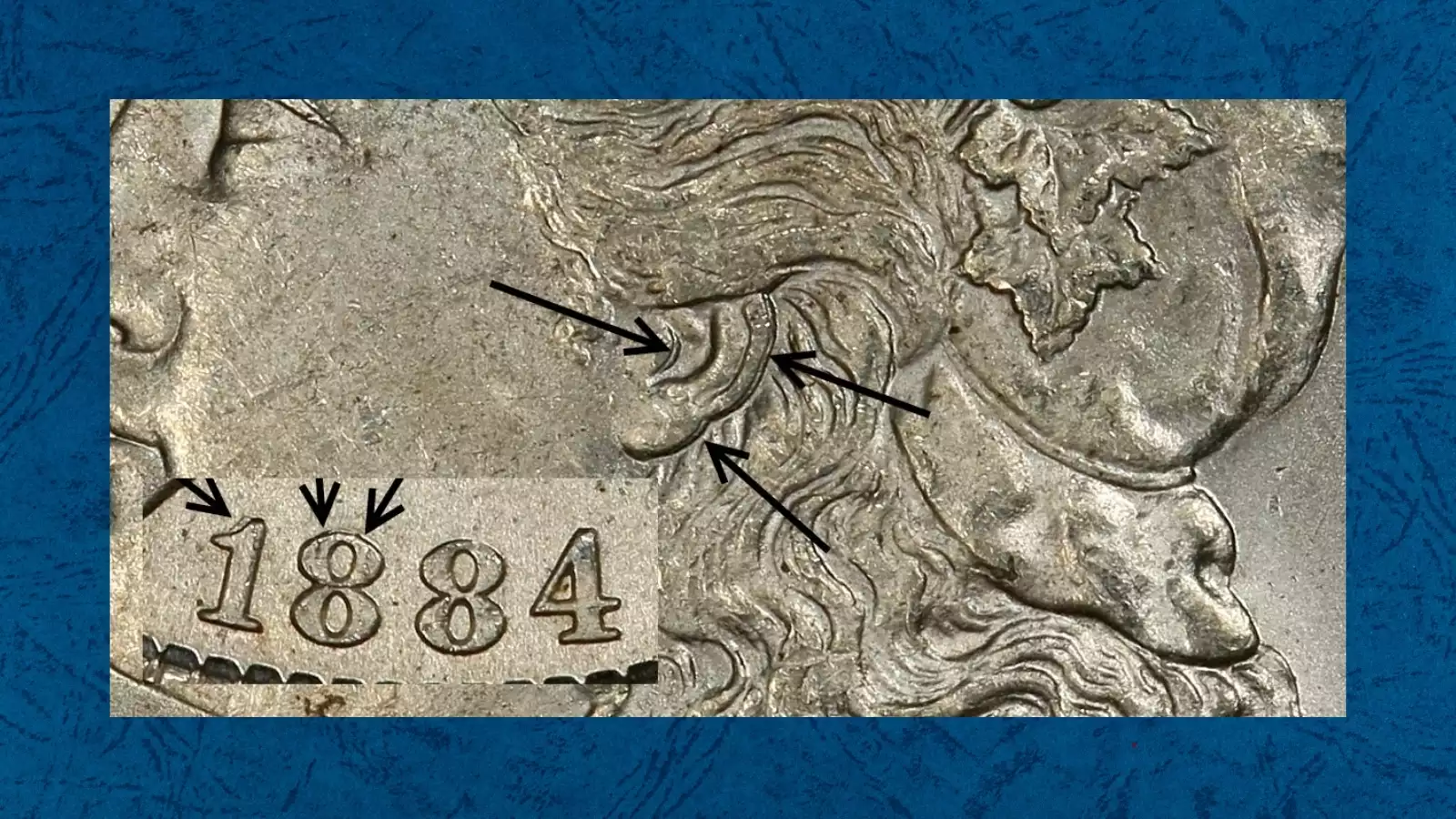 Macro close-up of 1884 Morgan dollar Liberty's ear showing the VAM-5 Doubled Ear variety — a secondary earlobe impression visible below the primary ear